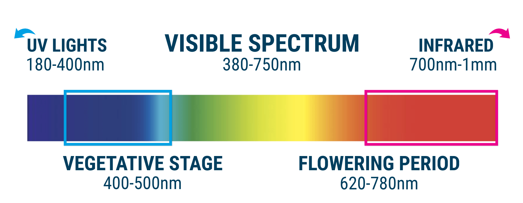 spectrum grow lights for seedlings