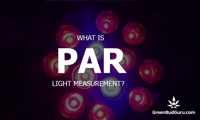 What Is PAR Light Measurement 