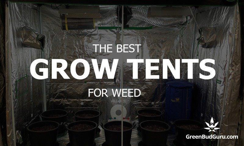 Best Grow Tents For Weed Reviews And Comparisons