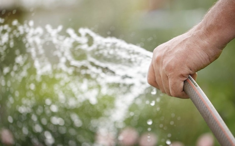 Watering Plants