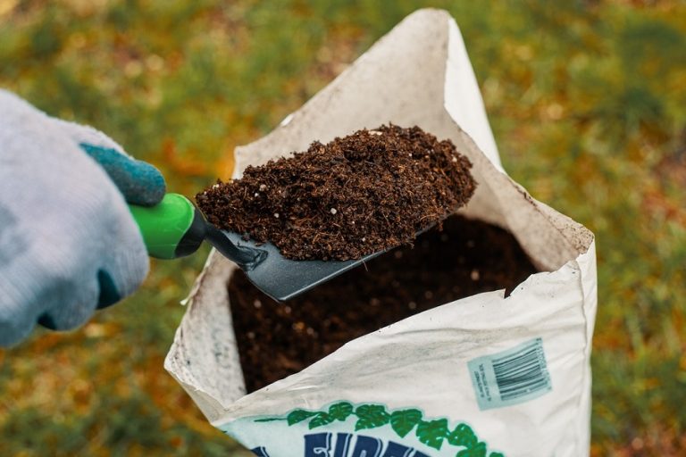 Best Marijuana Growing Soil 2020 – GreenBudGuru