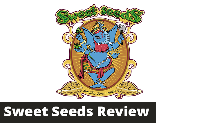 sweet seeds review