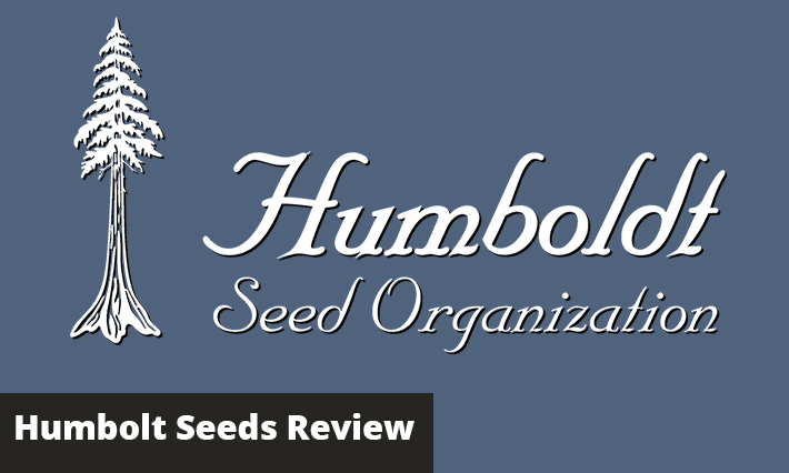 humboldt seeds review