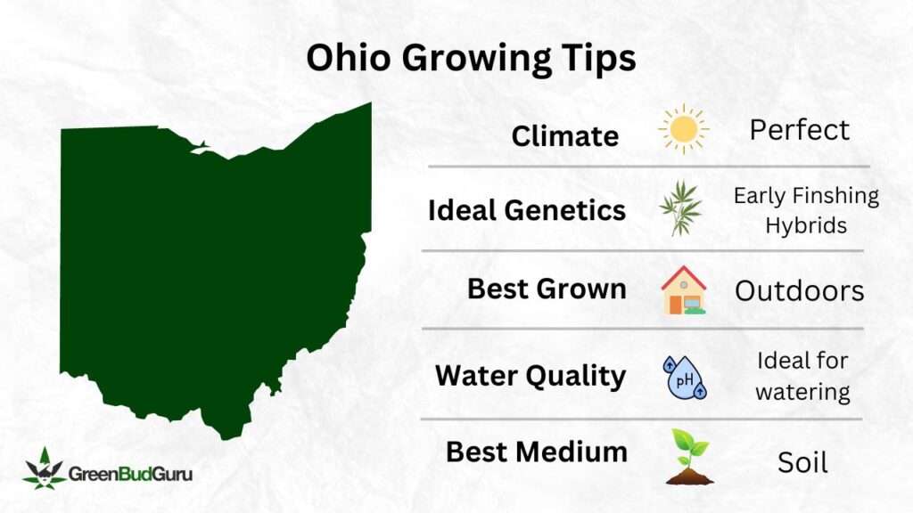 Best Strains To Grow In Ohio (2024 Update) GreenBudGuru